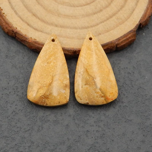 Natural Coconut Fossil Earring Beads 27x15x4mm, 4.8g