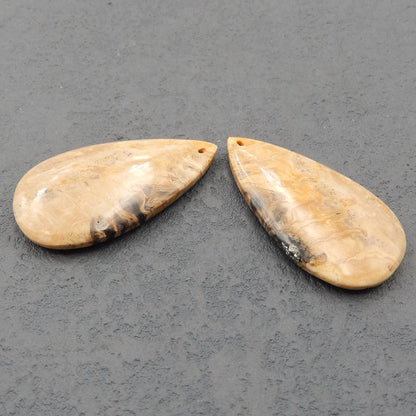 Natural Coconut Fossil Earring Beads 41x22x6mm, 14.6g