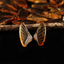 Earrings Bead Lopaz - Wing Earrings Natural Stone jewelry accessories