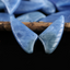 Earrings Bead OnyxBlue - Wing Earrings Natural Stone jewelry accessories