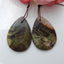 Natural Mushroom Jasper Earring Beads 29x19x3mm, 6.4g