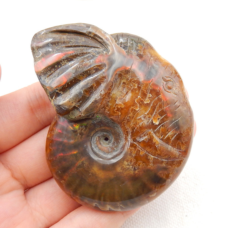 Natural Ammonite Fossil Carved elephant