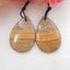 Natural Picture Jasper 宝石耳环一对，30x20x5mm，8.81g