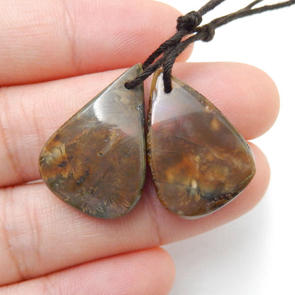 Natural Ammonite Fossil Earring Beads 25x13x5mm, 5.3g