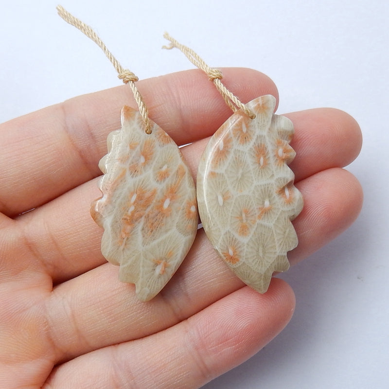 New Arrival Natural Indonesian Fossil Coral Beautiful Gemstone Earrings Pair, 36x20x5mm, 9.1g - MyGemGarden