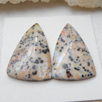 Natural petrified wood  Gemstone Cabochon Pair, 25x16x5mm, 5.6g - MyGemGarden