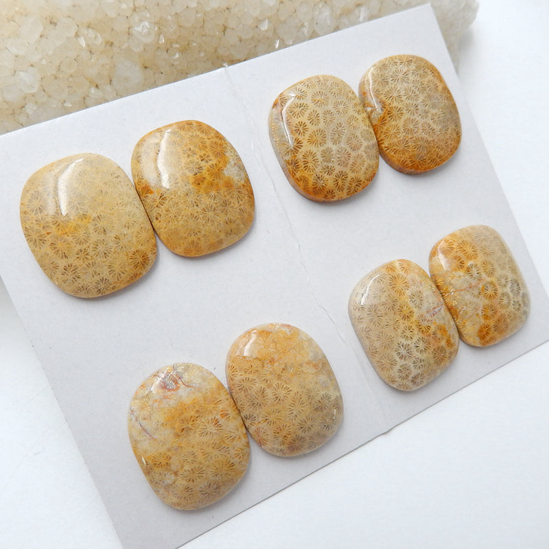 4 Pairs Natural Indonesian Fossil Coral Gemstone Cabochons, 23x19x5mm, 24x16x6mm, 31.3g - MyGemGarden