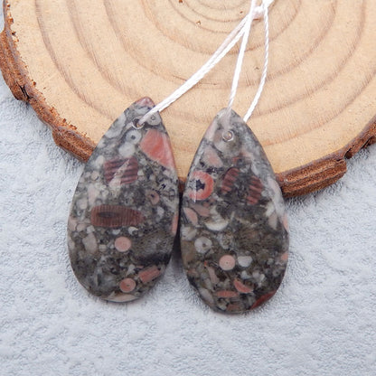 Natural Crinoid Fossil Earring Beads 28x15x3mm, 4.7g