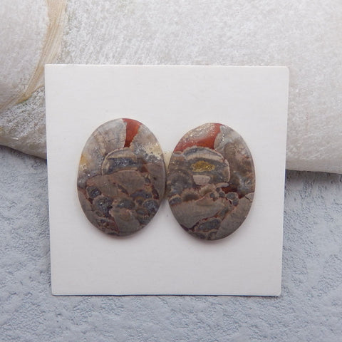 Natural Mushroom Jasper Cabochons Paired 20x14x3mm, 3.1g