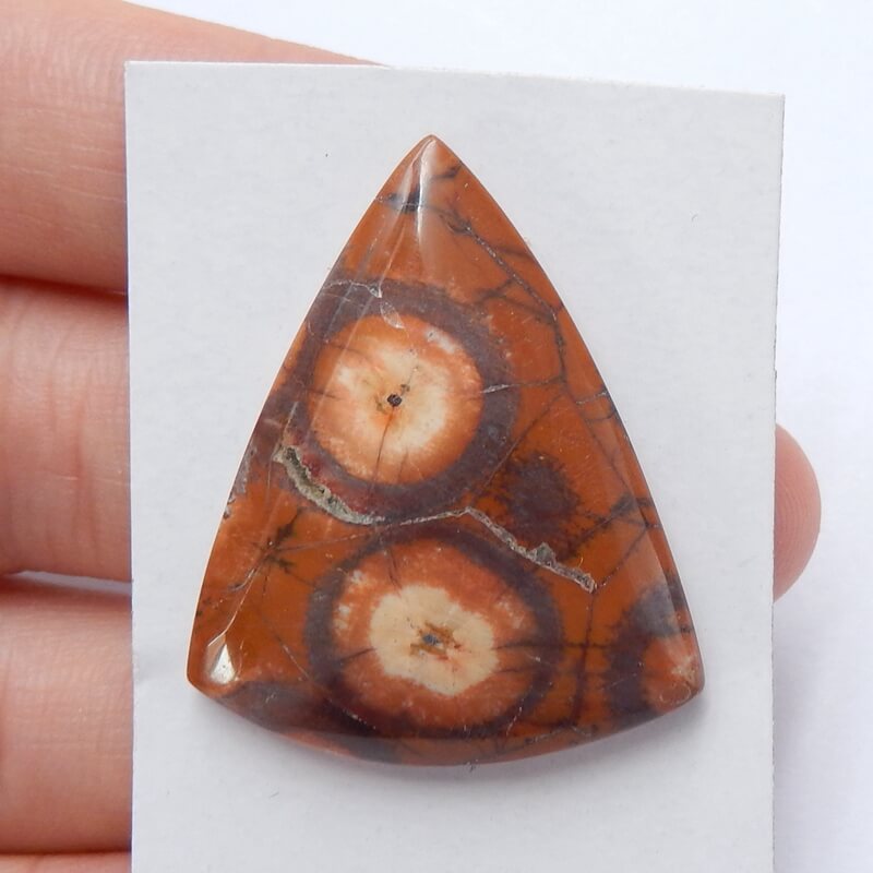 Natural Mushroom Jasper Triangle Gemstone Cabochon, 32x26x6mm, 5.7g - MyGemGarden