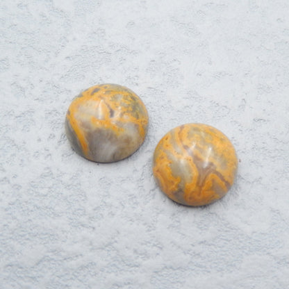 Natural Bumblebee Jasper Cabochons Paired 12X5mm, 2.6g