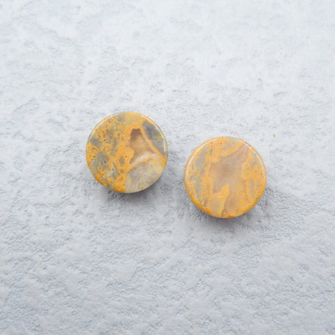 Natural Bumblebee Jasper Cabochons Paired 12X5mm, 2.6g