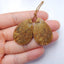 Natural Ocean Jasper Teardrop Earrings Pair, stone for Earrings making, 31x21x3mm, 7.4g - MyGemGarden