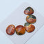 5 pcs Natural Multi-Color Picasso jasper Gemstone Cabochons, 18x15x3mm, 16x14x4mm, 8.1g - MyGemGarden