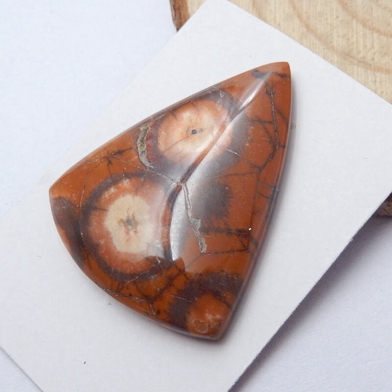 Natural Mushroom Jasper Triangle Gemstone Cabochon, 32x26x6mm, 5.7g - MyGemGarden