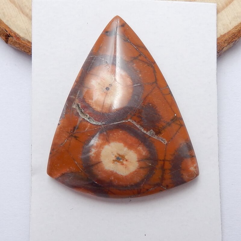 Natural Mushroom Jasper Triangle Gemstone Cabochon, 32x26x6mm, 5.7g - MyGemGarden
