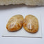 Natural Indonesian Fossil Coral Gemstone Cabochon pair, 23x16x6mm, 7.4g - MyGemGarden
