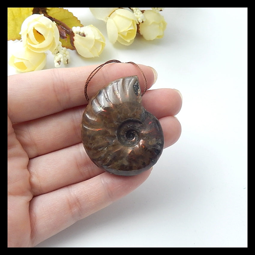 Natural Ammonite Fossil Pendant Bead, 40x33x13mm, 21.3g - MyGemGarden