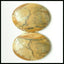 Natural US Biggs Picture Jasper Gemstone Cabochon Pair 20x15x3mm,3.6g - MyGemGarden