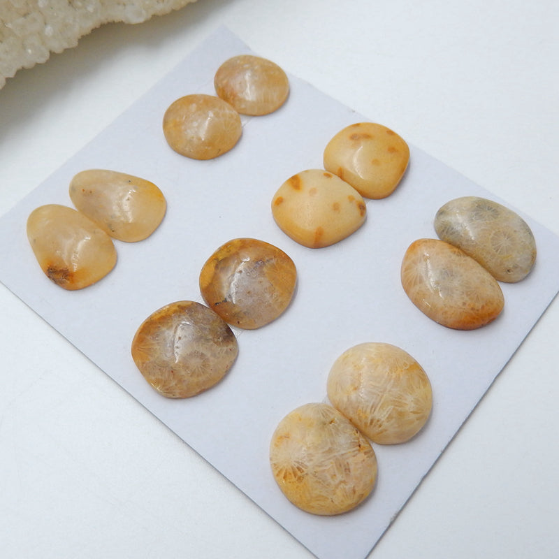 6 Pairs Natural Indonesian Fossil Coral Gemstone Cabochons, 12x11x3mm, 15x10x4mm, 10g - MyGemGarden