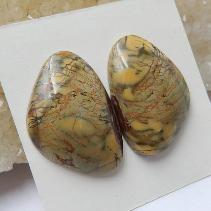 Natural Multicolor Picasso jasper Gemstone Cabochon Pair, 23x16x4mm, 5.2g - MyGemGarden