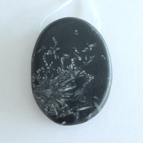 Chrysanthemum Fossil Pendant Bead, 61x46x10mm, 55.9g - MyGemGarden