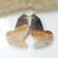 Hot sale Amazonite Carved fish Earrings Pair, stone for Earrings making, 28x19x4mm, 6.1g - MyGemGarden