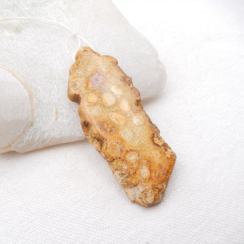 Natural Indonesian Fossil Coral Pendant Bead 76x27x9mm, 27.3g