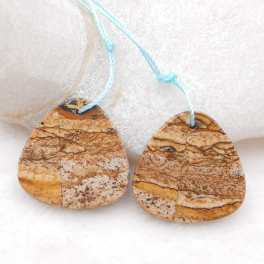 Natural Picture Jasper Earring Beads 24x23x3mm, 7.3g