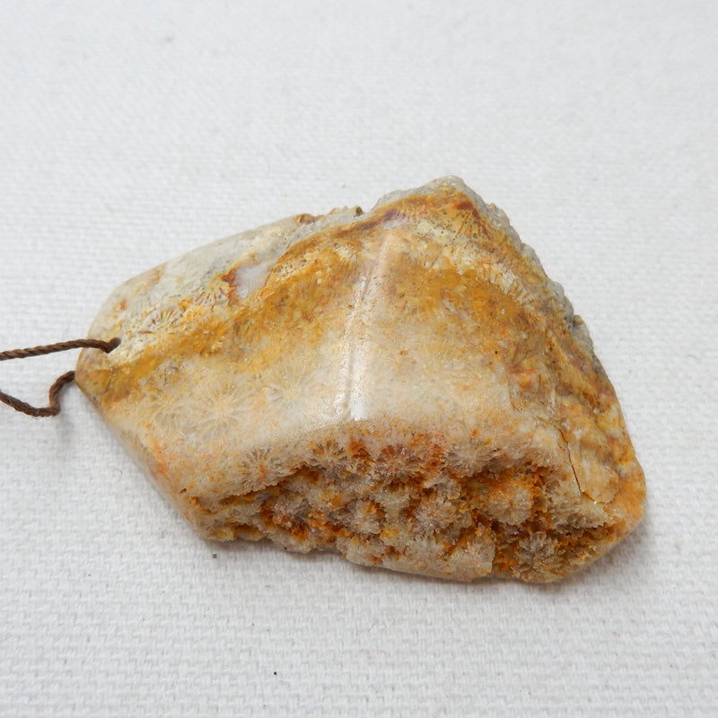 Natural Indonesian Fossil Coral Gemstone Pendant, Gemstone Rough, 55x38x17mm, 34.9g - MyGemGarden