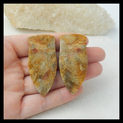2 Pcs Indonesian Coral Cabochons,52x24x7mm,28.2g - MyGemGarden