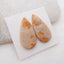Paire de cabochons de pierres précieuses de corail fossile indonésien naturel, 29 x 14 x 3 mm, 5,3 g
