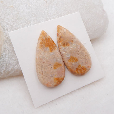 Paire de cabochons de pierres précieuses de corail fossile indonésien naturel, 29 x 14 x 3 mm, 5,3 g
