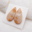 Paire de cabochons de pierres précieuses de corail fossile indonésien naturel, 29 x 14 x 3 mm, 5,3 g