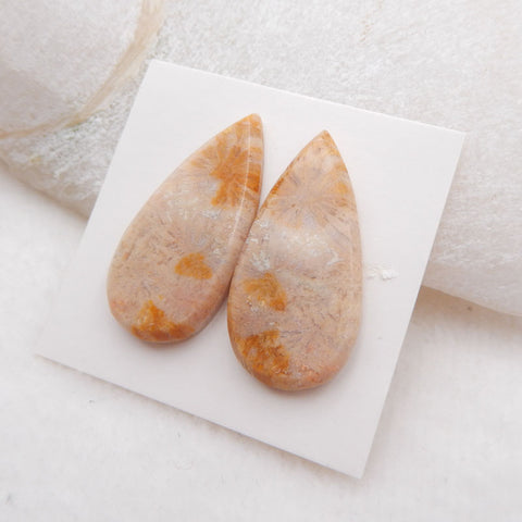 Paire de cabochons de pierres précieuses de corail fossile indonésien naturel, 29 x 14 x 3 mm, 5,3 g