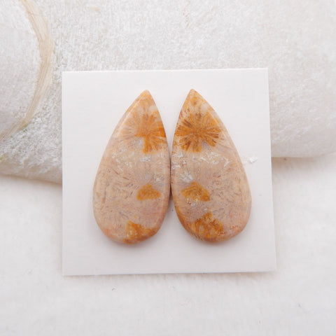 Paire de cabochons de pierres précieuses de corail fossile indonésien naturel, 29 x 14 x 3 mm, 5,3 g