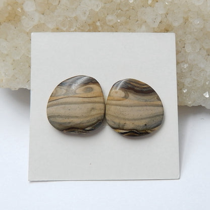 Us Biggs Jasper Cabochon Pair, 15x15x3mm, 2.7g - MyGemGarden