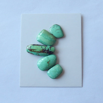 5PCS  Freeform Turquoise  Cabochon Pairs For Jewelry Making25x9x5mm,13x10x3mm 6.1g - MyGemGarden