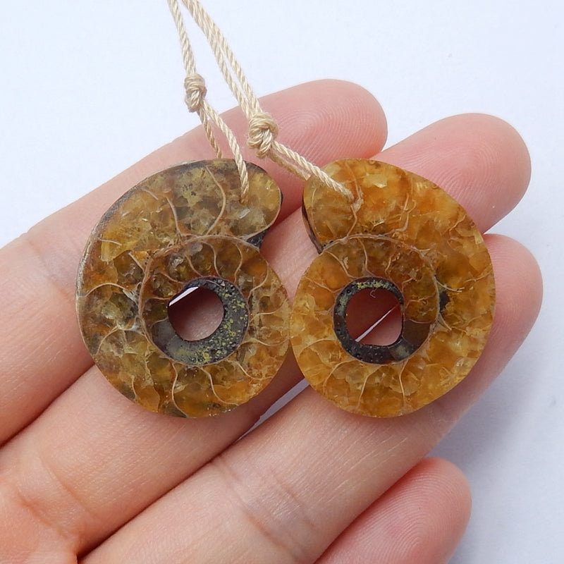 Natural Ammonite Fossil Earrings Pair stone for Earrings making, 26x22x5mm, 8.1g - MyGemGarden