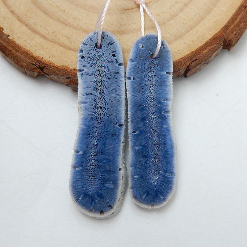 Natural blue coral Earrings Pair, stone for Earrings making, 38x11x2mm,34x10x2mm, 3.2g - MyGemGarden
