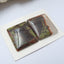 Natural Mushroom Jasper Square Gemstone Cabochon Pair, 19x16x4mm, 4.5g - MyGemGarden