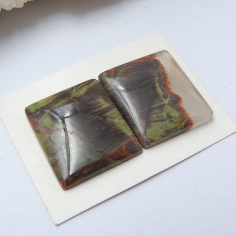 Natural Mushroom Jasper Square Gemstone Cabochon Pair, 19x16x4mm, 4.5g - MyGemGarden