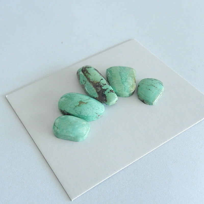 5PCS  Freeform Turquoise  Cabochon Pairs For Jewelry Making25x9x5mm,13x10x3mm 6.1g - MyGemGarden