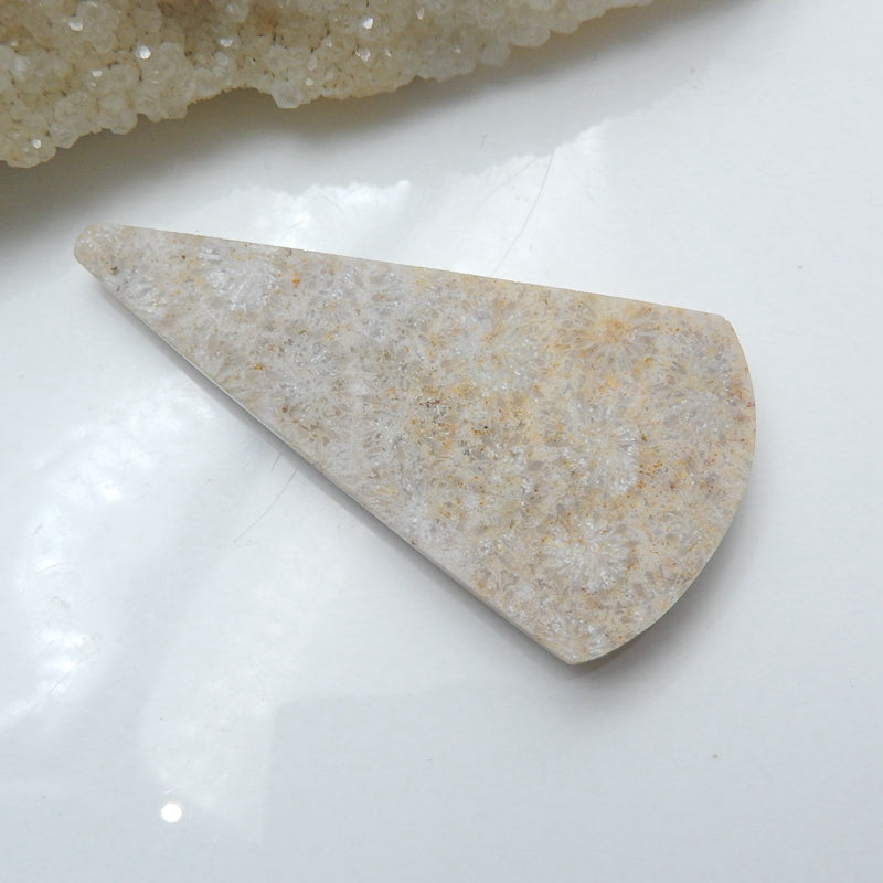 Natural Indonesian Fossil Coral Gemstone Cabochon, 65x34x7mm, 18g - MyGemGarden