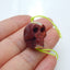 Natural Mookaite Jasper Carving Skull Pendant, 19x14x15mm, 6.46g - MyGemGarden