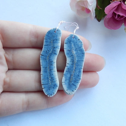 Natural Blue Coral Earrings Pair 49x13x3mm,44x15x3mm,6.1g - MyGemGarden