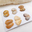 Sale 6 Pairs Indonesian Fossil Coral Gemstone Cabochons, 15x10x4mm, 18x10x4mm, 10.6g - MyGemGarden