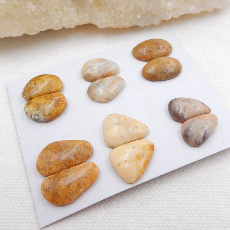 Sale 6 Pairs Indonesian Fossil Coral Gemstone Cabochons, 15x10x4mm, 18x10x4mm, 10.6g - MyGemGarden