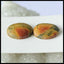Natural Multi-Color Picasso Jasper Gemstone 15mm round cabochons Pair, 15x15x4mm, 3.5g - MyGemGarden