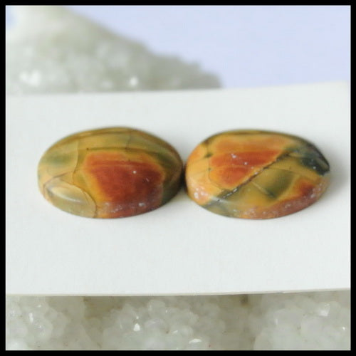 Natural Multi-Color Picasso Jasper Gemstone 15mm round cabochons Pair, 15x15x4mm, 3.5g - MyGemGarden